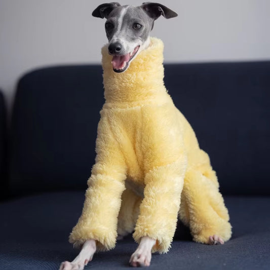 Yellow Soft Dog Coat High Collar Design Winter Warm Small Medium Dog Pajamas Suitable for Italian Greyhound Whippet Bellington