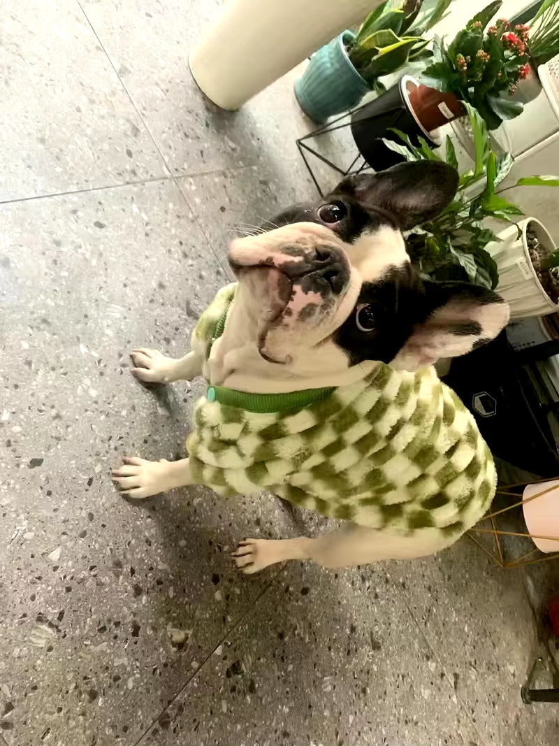 French Bulldog Winter Dog Clothes Coat Warm and Thickened Vest Jacket Fat Dog Costume Bulldog Pug Green Plaid Pet Dog Clothes