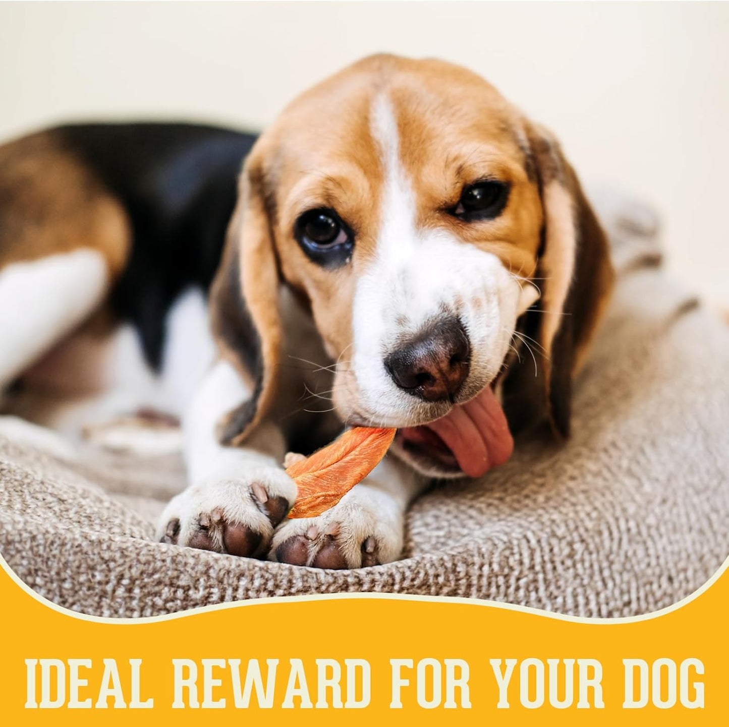 PACK’N PRIDE Natural Dog Treats, 200 G Air-Dried Chicken Fillets, Low Fat Chicken Breast Jerky, Dog Chews for Small&Medium&Large Dogs, Grain-Free Dog Training Treats, High in Protein