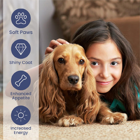 Brilliant Salmon Oil for Dogs, Cats, Puppy, Horse, Ferret & Pets - Pure Omega 3, 6 & 9 Fish Oil Food Supplement | Treats Itchy Skin, Joint Care, Heart Health & Natural Coat (2X300Ml)