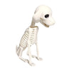 NEW High-End Halloween Dog Skeleton Sculpture Portable Halloween Dog Skeleton Table Decoration for Desk Outdoor Indoor Deco C7K9