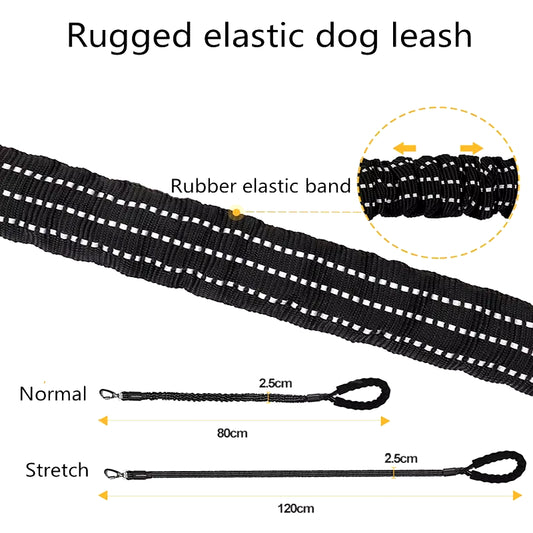 Durable Pet Leash Reflective Stretchable Leash Outdoor Training Metal Clasp Cushioned Handle Dog Leash