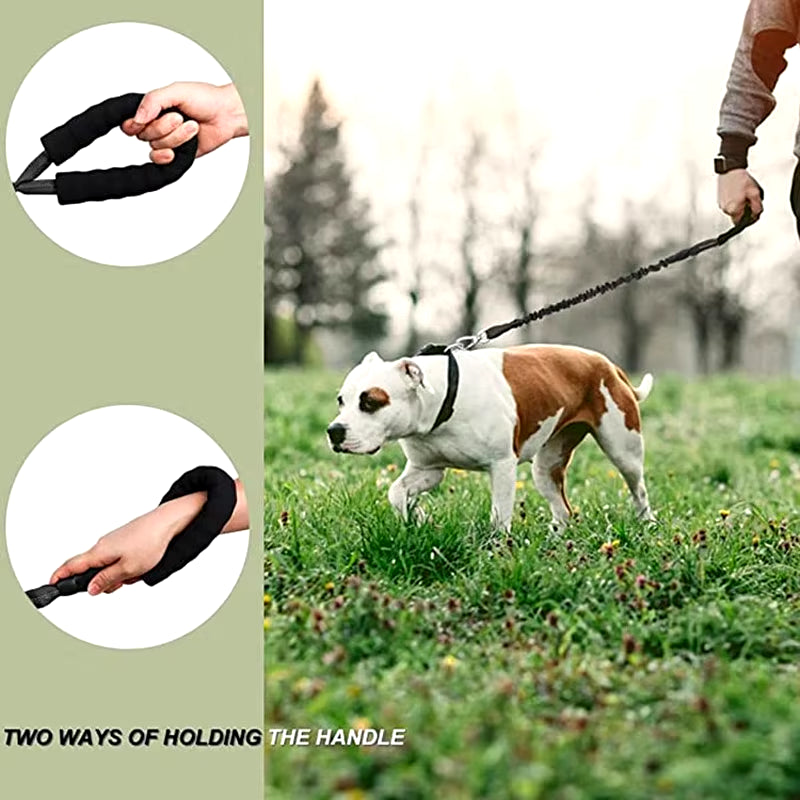 Durable Pet Leash Reflective Stretchable Leash Outdoor Training Metal Clasp Cushioned Handle Dog Leash
