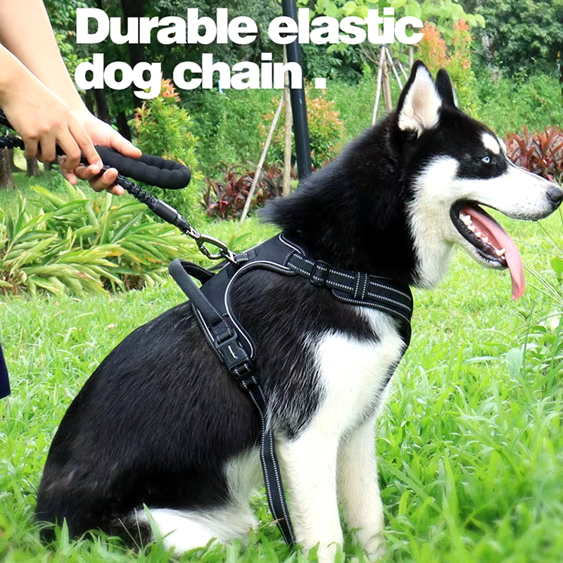 ​Durable Pet Leash Reflective Stretchable Leash Outdoor Training Metal Clasp Cushioned Handle Dog Leash