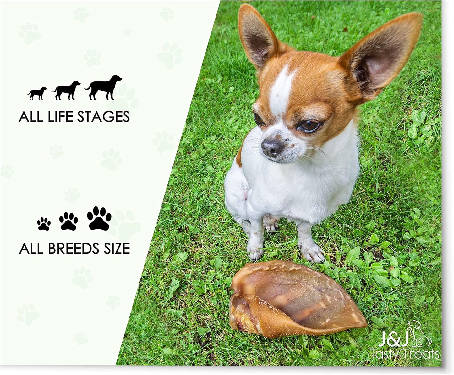 Premium Pigs Ears for Dogs - 8 Large Pieces for Highest Welfare Grade - Whole Natural Dried Healthy Snack Pork Ear Chew Treats by