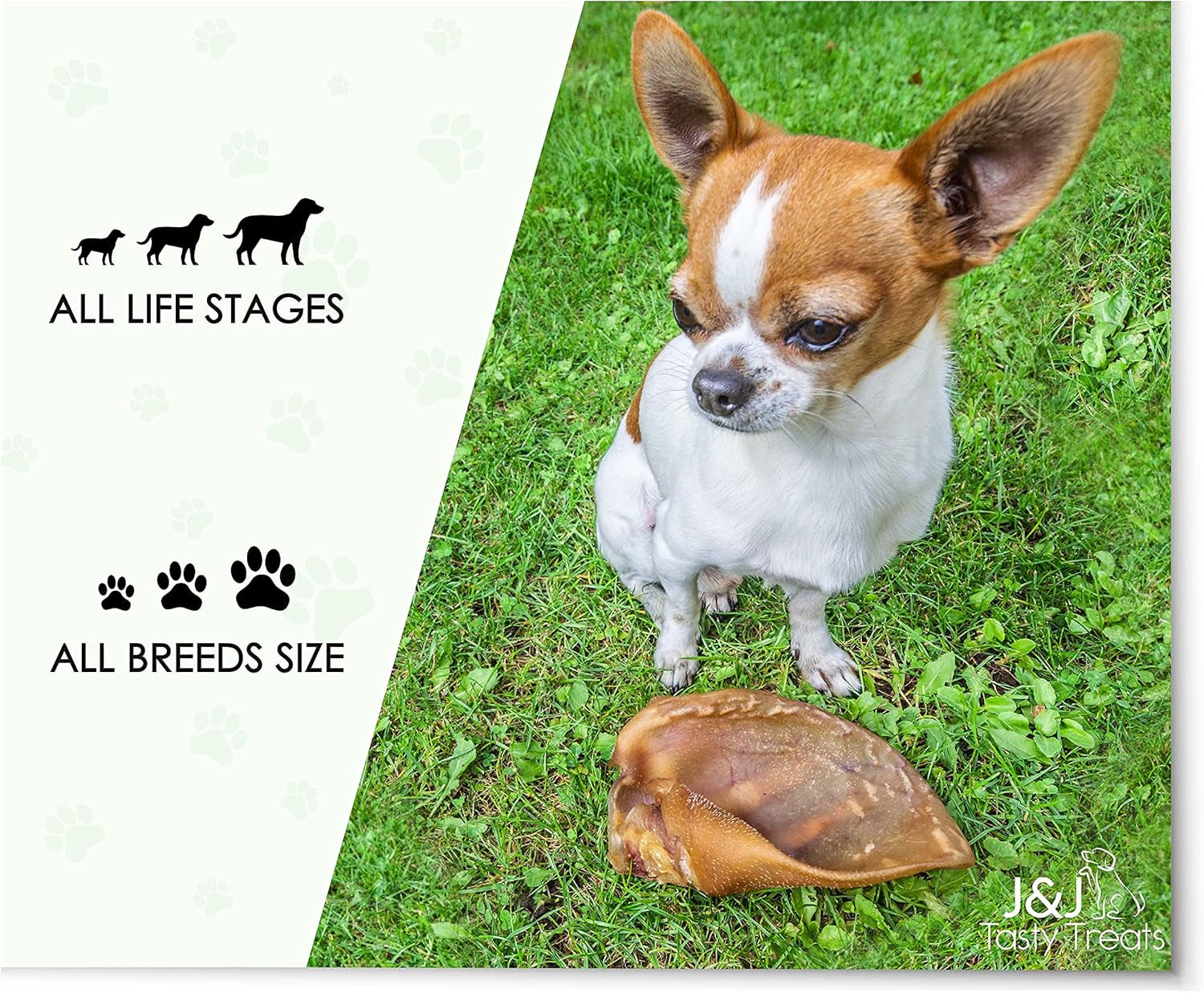 Premium Pigs Ears for Dogs - 8 Large Pieces for Highest Welfare Grade - Whole Natural Dried Healthy Snack Pork Ear Chew Treats by