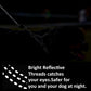 ​Durable Pet Leash Reflective Stretchable Leash Outdoor Training Metal Clasp Cushioned Handle Dog Leash