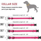 Reflective Dog Collar Strap with Adjustable Safety Nylon Pet Collar Pet Traction Rope Suitable for Small and Medium-Sized Pets