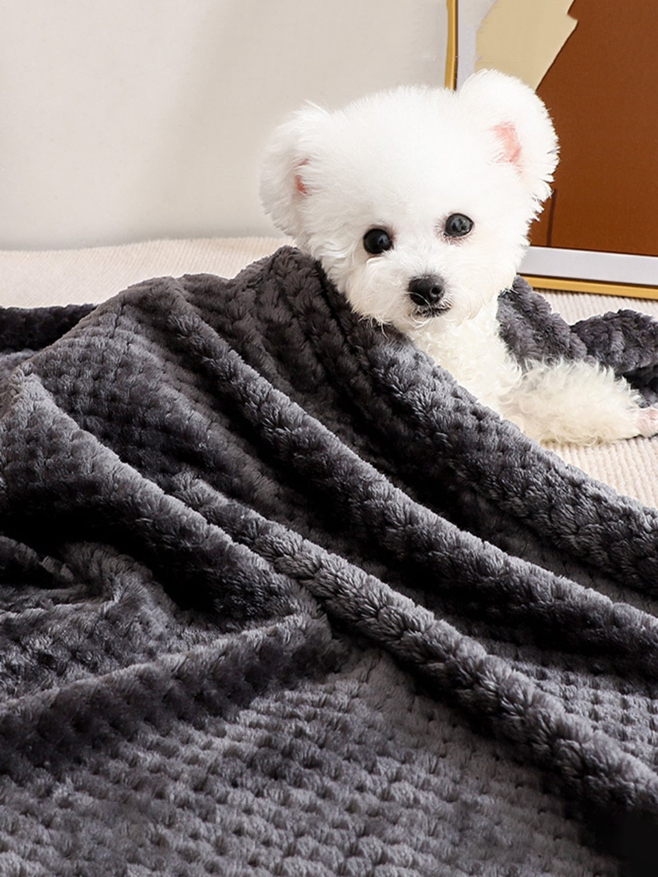 Plain Pet Blanket