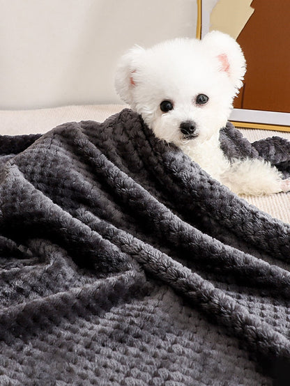 Plain Pet Blanket
