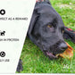 Premium Pigs Ears for Dogs - 8 Large Pieces for Highest Welfare Grade - Whole Natural Dried Healthy Snack Pork Ear Chew Treats by