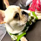 French Bulldog Winter Dog Clothes Coat Warm and Thickened Vest Jacket Fat Dog Costume Bulldog Pug Green Plaid Pet Dog Clothes