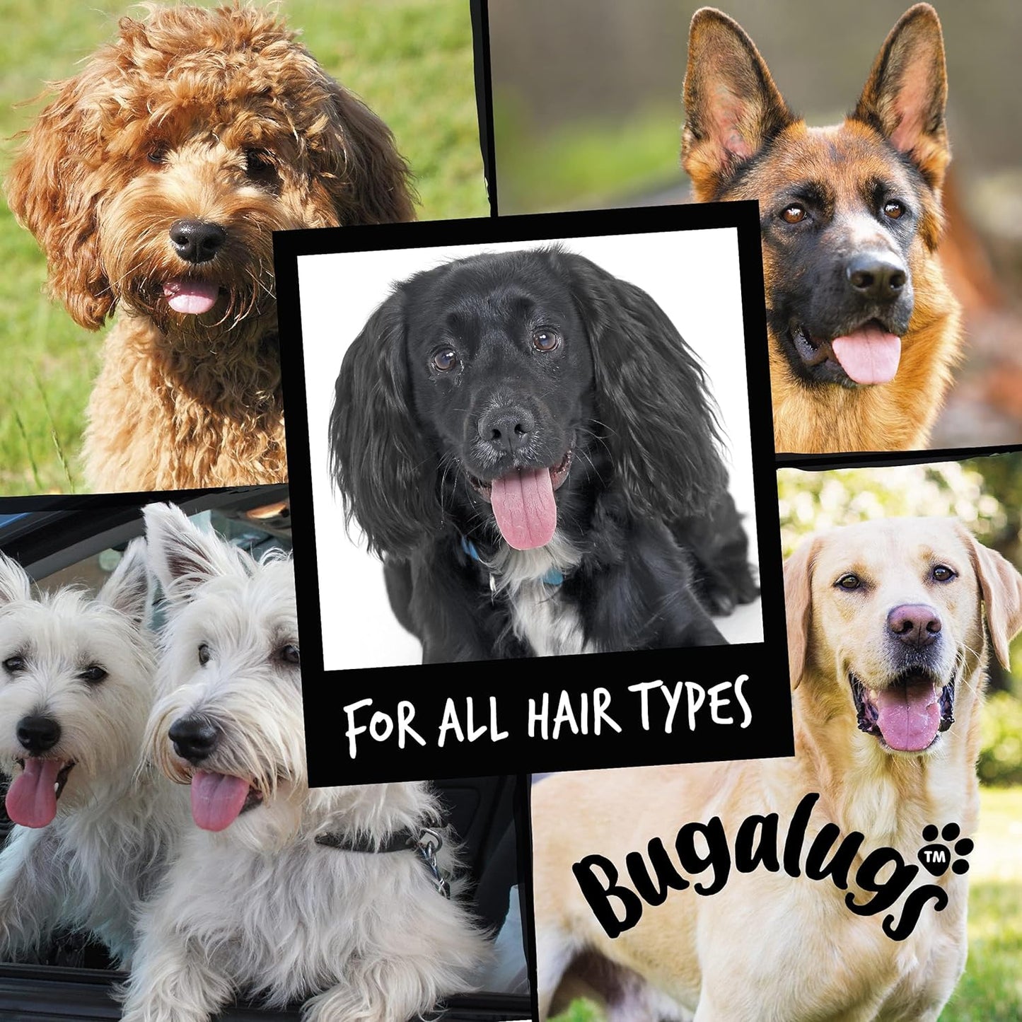 Dog Shampoo Luxury 2 in 1 Papaya & Coconut Dog Grooming Shampoo Products for Smelly Dogs with Fragrance, Best Puppy Shampoo, Professional Groom Vegan Pet Shampoo & Conditioner