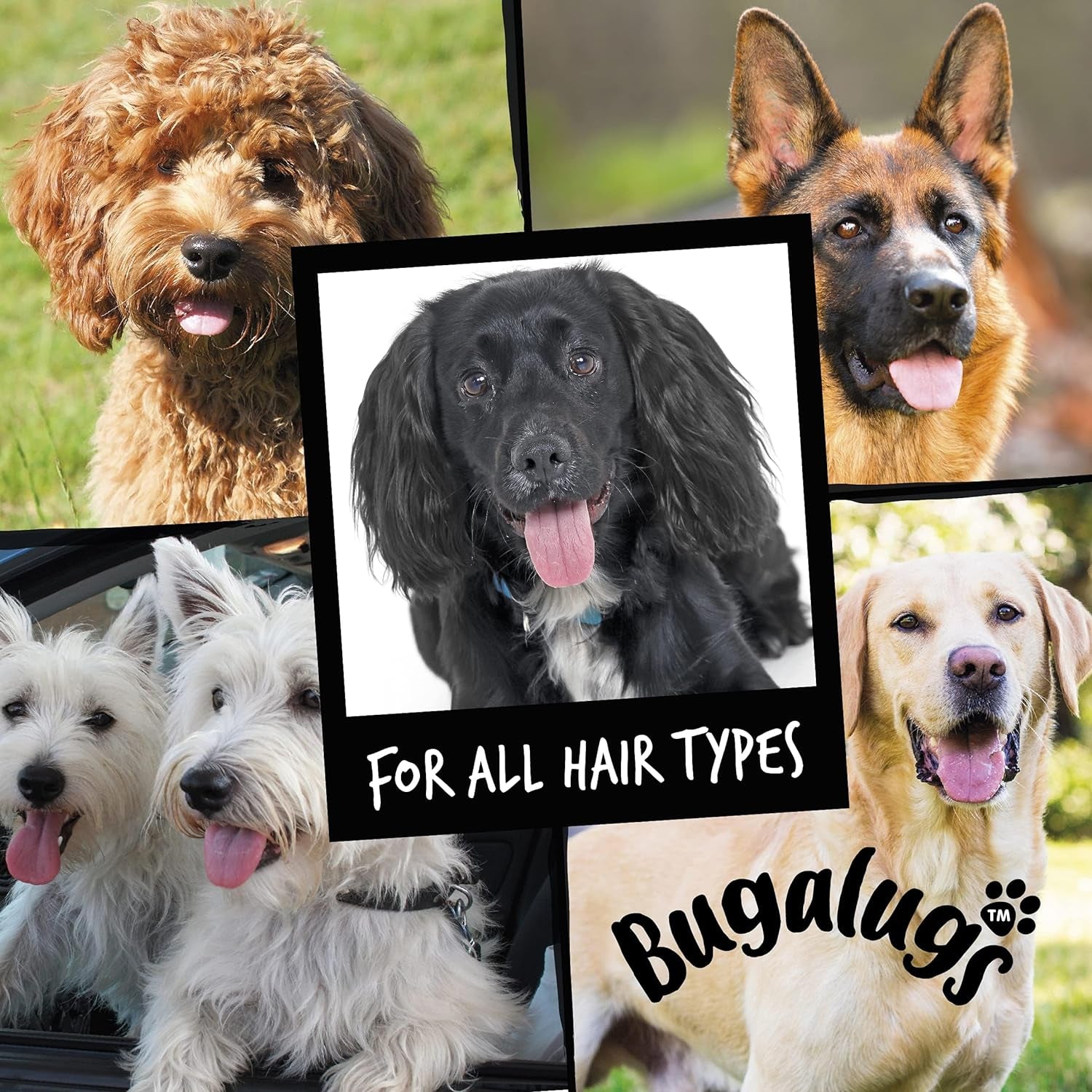 Dog Shampoo Luxury 2 in 1 Papaya & Coconut Dog Grooming Shampoo Products for Smelly Dogs with Fragrance, Best Puppy Shampoo, Professional Groom Vegan Pet Shampoo & Conditioner