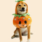 Dog Cat Halloween Pumpkin Costume Pet Cosplay Costumes Puppy Warm Outfits Hoodie Animal Autumn Winter Clothes