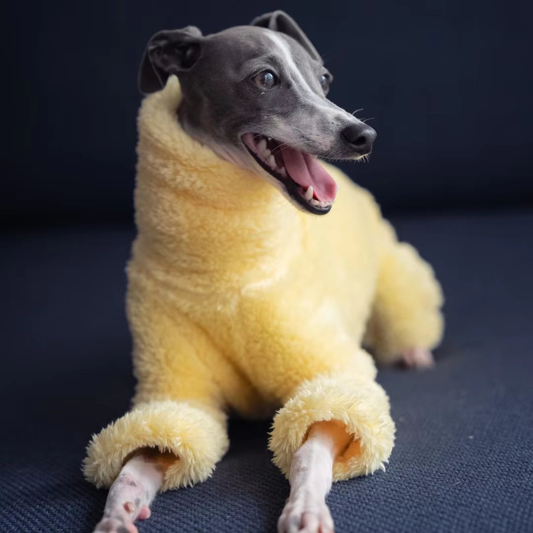 Yellow Soft Dog Coat High Collar Design Winter Warm Small Medium Dog Pajamas Suitable for Italian Greyhound Whippet Bellington