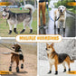 Dog Shoes for Large Size Dogs, Waterproof Medium Large Dog Boots, for Hot Pavement Winter Snow Hiking Breathable Elastic