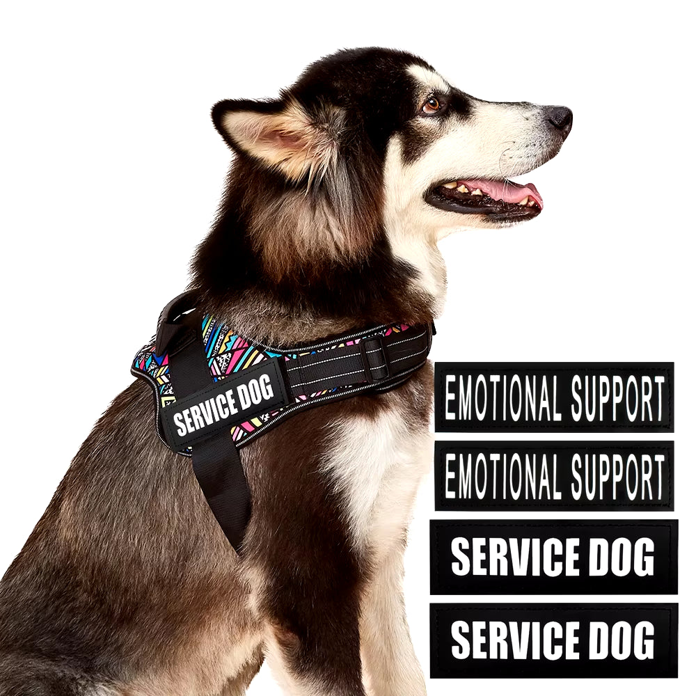 Walking Dog Harnesses Safety No-Pull Breathable Service Dog Vest Collar Adjustable Reflective Pet Harness with Outdoor Training