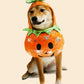 Dog Cat Halloween Pumpkin Costume Pet Cosplay Costumes Puppy Warm Outfits Hoodie Animal Autumn Winter Clothes