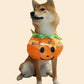 Dog Cat Halloween Pumpkin Costume Pet Cosplay Costumes Puppy Warm Outfits Hoodie Animal Autumn Winter Clothes