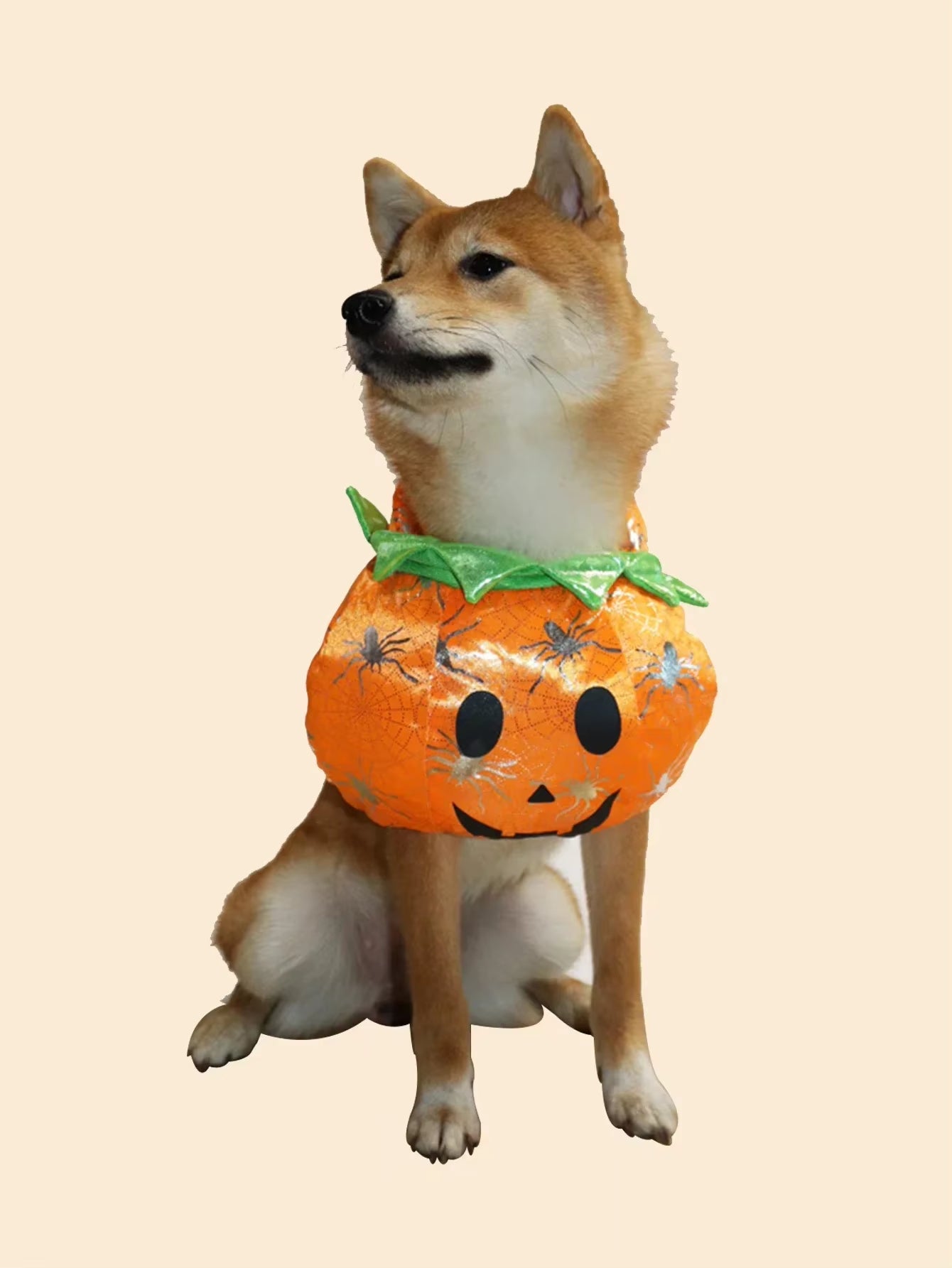 Dog Cat Halloween Pumpkin Costume Pet Cosplay Costumes Puppy Warm Outfits Hoodie Animal Autumn Winter Clothes