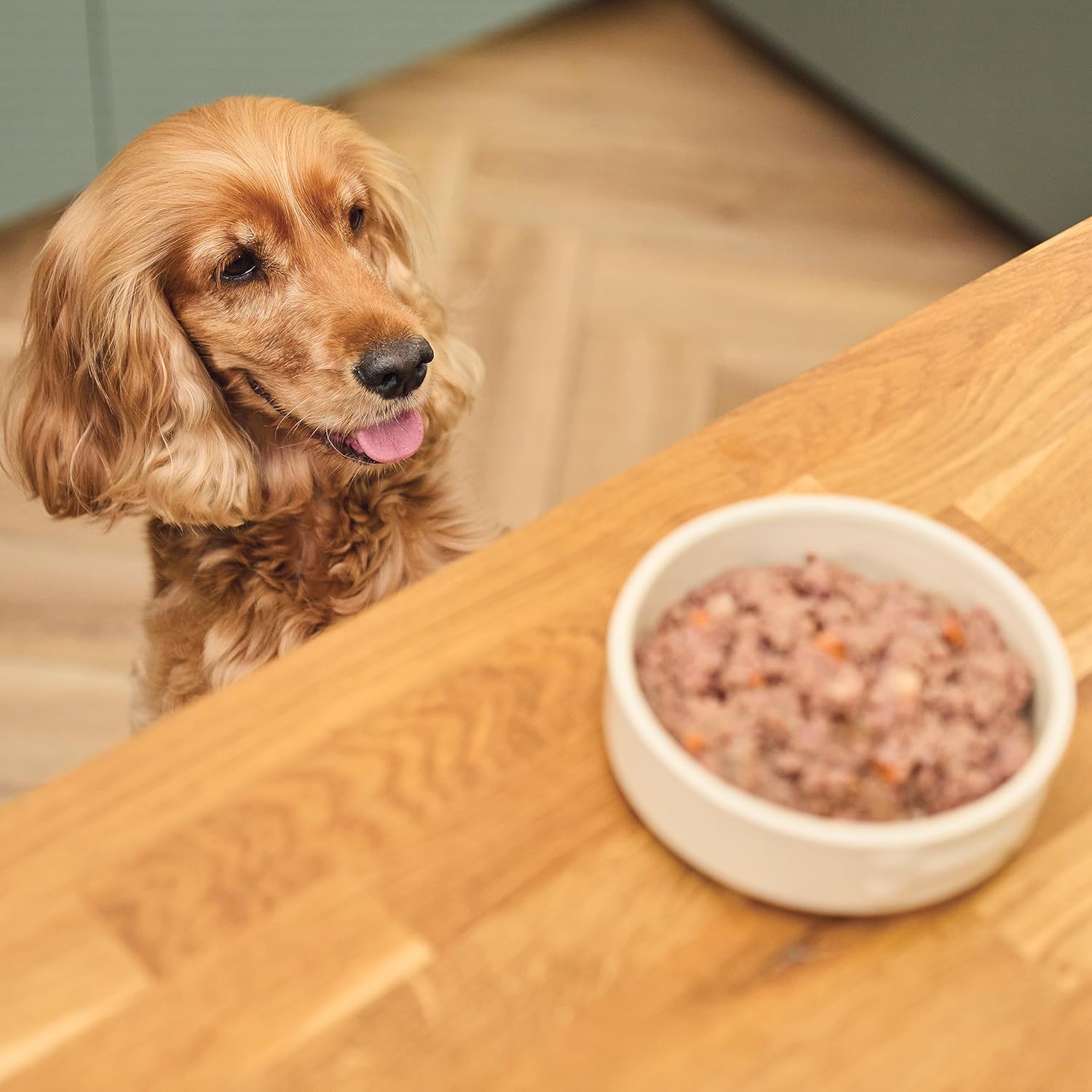 Lily’S Kitchen Made with Natural Ingredients Adult Wet Dog Food Trays Organic Variety Pack 10X150G