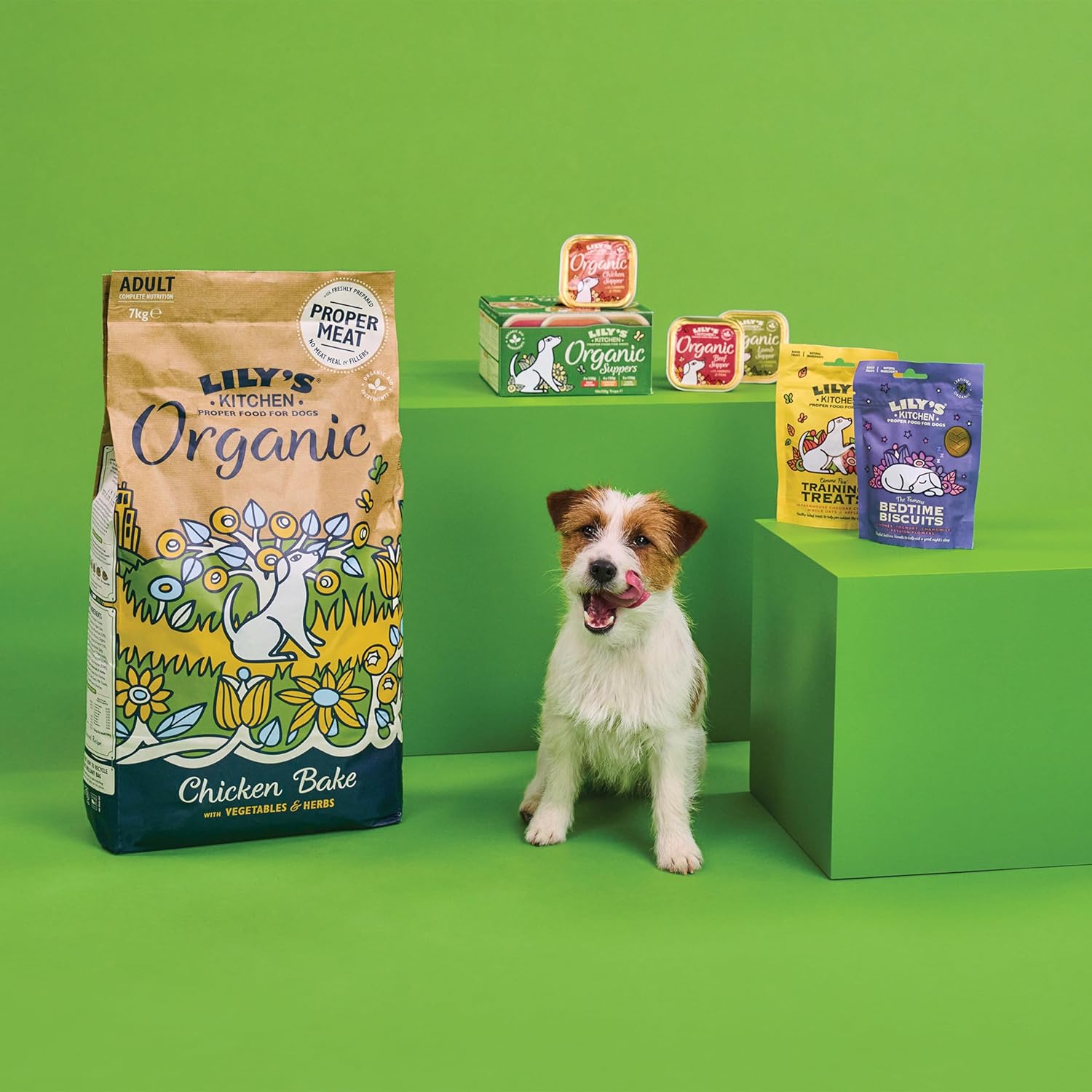 Lily’S Kitchen Made with Natural Ingredients Adult Dry Dog Food Organic Chicken Bake Balanced Nutrition 1Kg