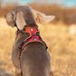 Pet Reflective Nylon Dog Harness No Pull Adjustable Medium Large Naughty Dog Vest Safety Vehicular Lead Walking Running