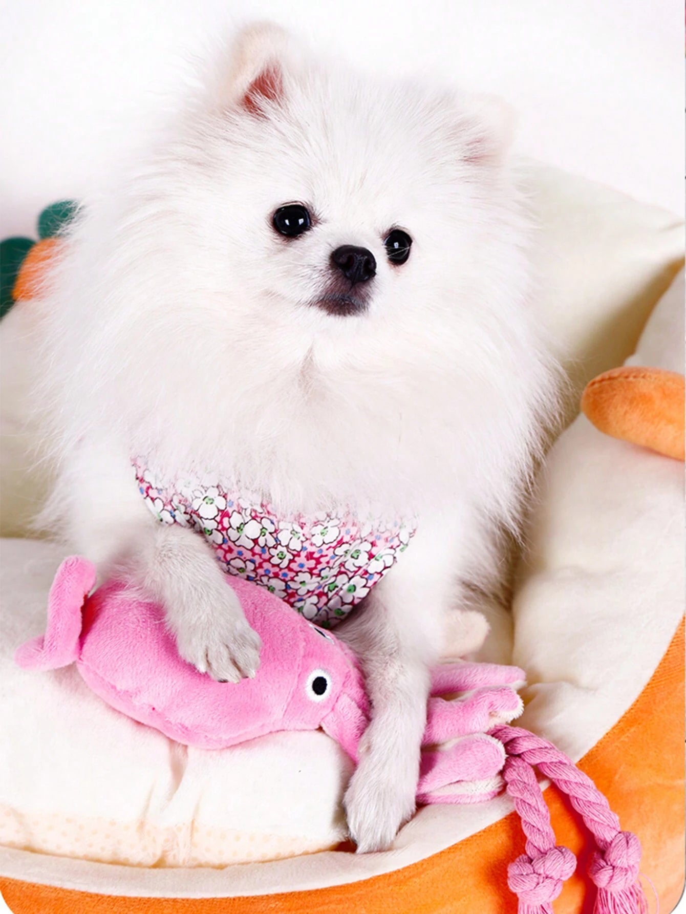 Supet 1Pc Interactive Plush Octopus Shaped Pet Toy with Rope for Cats and Dogs LATEST