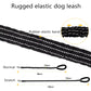 ​Durable Pet Leash Reflective Stretchable Leash Outdoor Training Metal Clasp Cushioned Handle Dog Leash