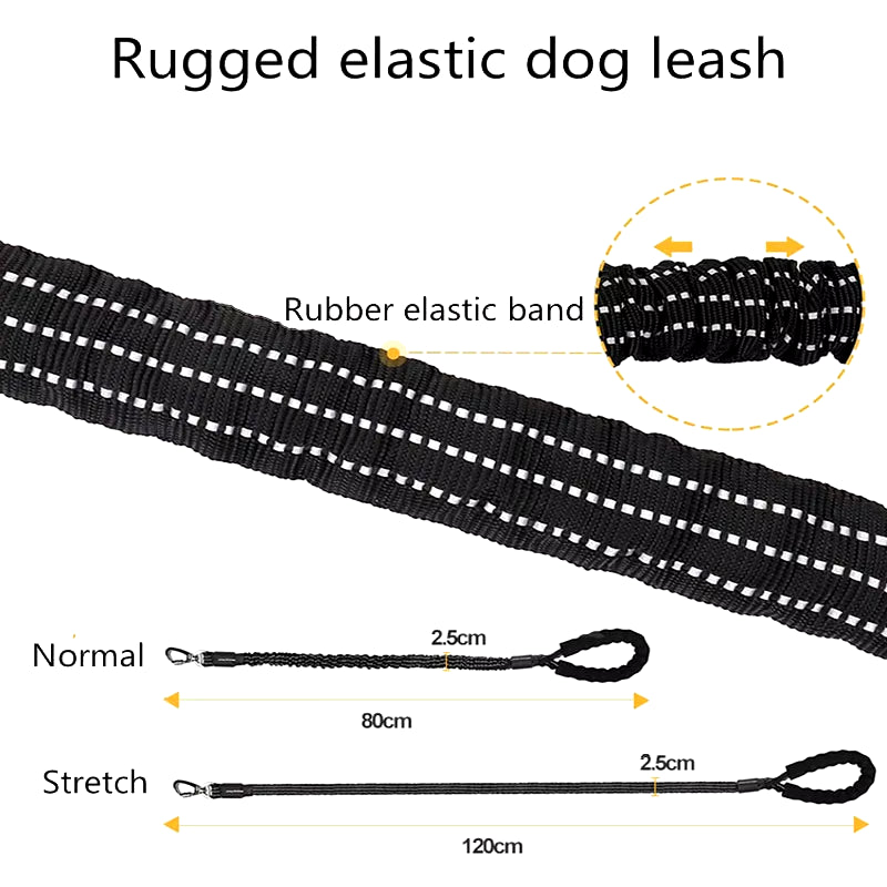 ​Durable Pet Leash Reflective Stretchable Leash Outdoor Training Metal Clasp Cushioned Handle Dog Leash