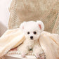 Plain Pet Blanket