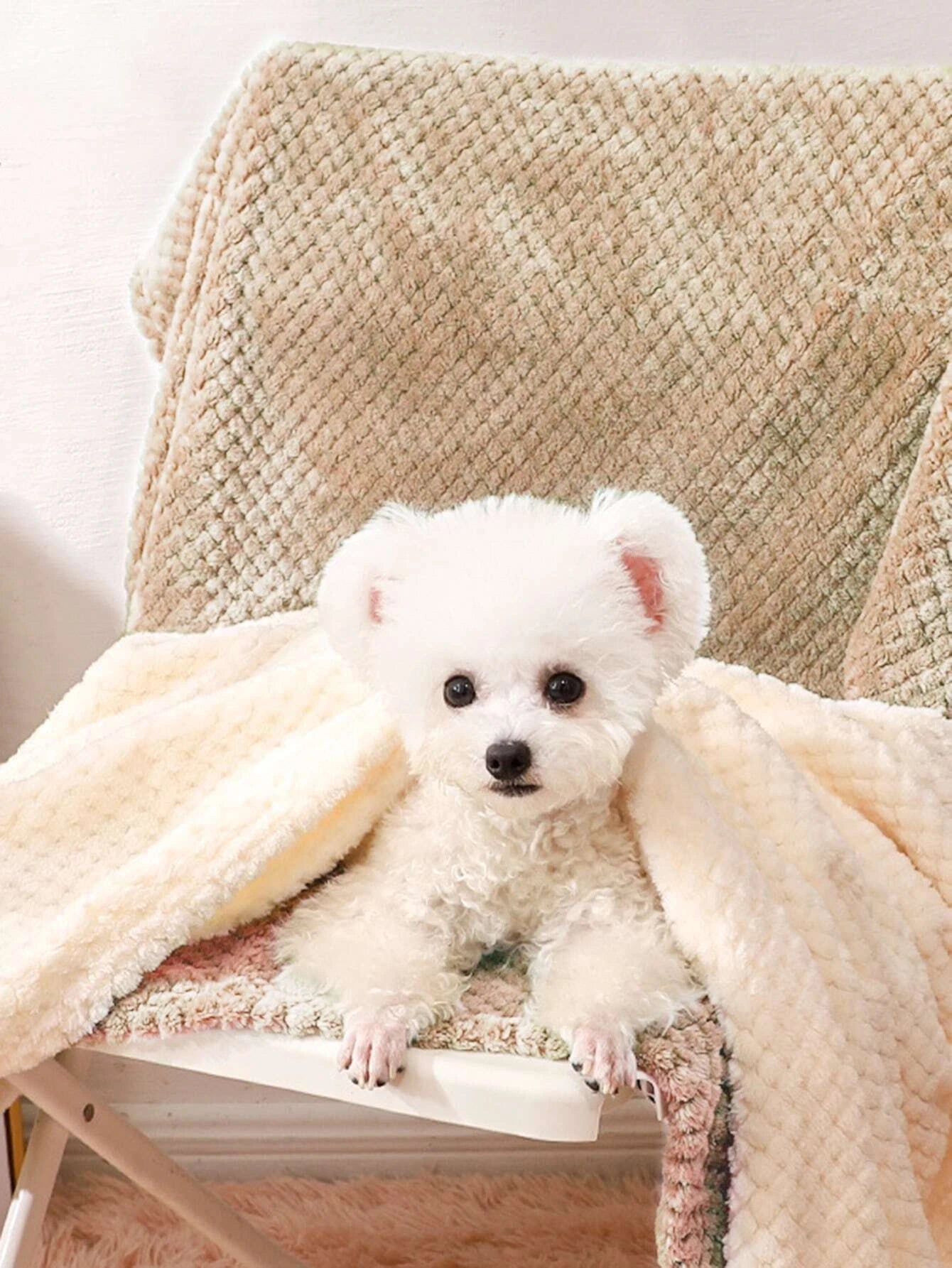 Plain Pet Blanket