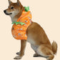 Dog Cat Halloween Pumpkin Costume Pet Cosplay Costumes Puppy Warm Outfits Hoodie Animal Autumn Winter Clothes